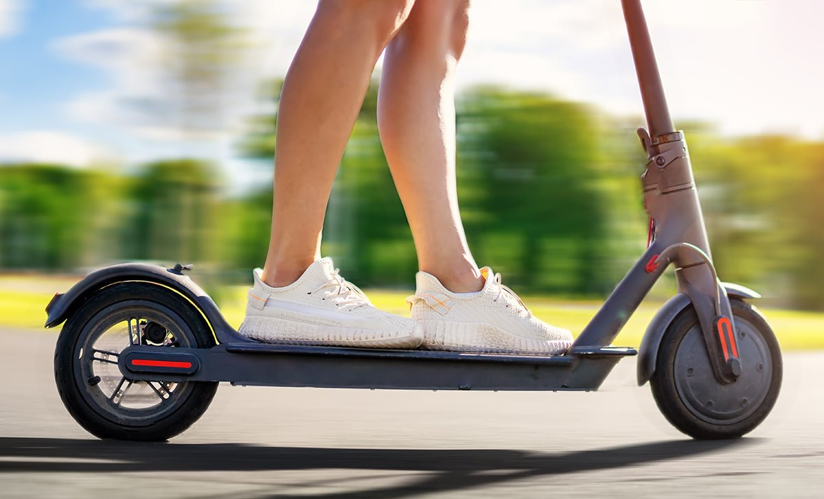 Adult Electric Scooters